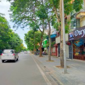 Siêu phẩm đầu tư phố Ngô Gia Tự: 240m2 đất, MT 8m, ngõ ô tô, chỉ 12 tỷ