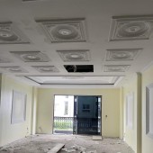 BÁN BIỆT THỰ PHÚC LỢI, PHÂN LÔ VỈA HÈ, Ô TÔ TRÁNH, KINH DOANH CHO THUÊ HÁI RA TIỀN, 79,3M2, MT 5.5M, 17 TỶ