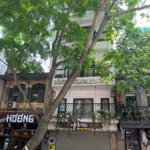 Bán nhà mặt phố Phan Đình Phùng, Hoàn Kiếm 52m2, 9 tầng, Kinh doanh, Giá chỉ: 65 tỷ
