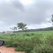 CHÍNH CHỦ - Cần bán 2 lô đất full thổ cư ngay trung tâm KDC Lộc Tân - Krong Nang