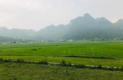 Chuyển nhượng 2900m đất tại đú sáng, kim bôi, hòa bình