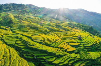 Đất Nền Y Tý (SAPA2) Đón Sóng Cao Tốc, View Săn Mây Giá Rẻ