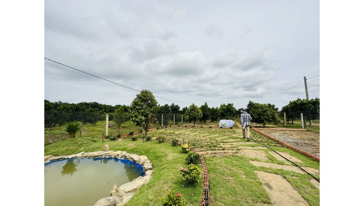 VƯỜN GLAMPING HỒ TRỊ AN LA NGÀ ĐỊNH QUÁN SỔ HỒNG RIÊNG BIỆT 1000m2