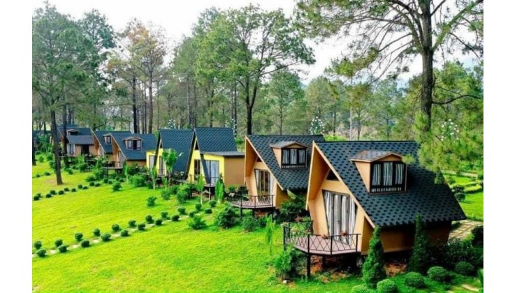 BÁN ĐẤT NỀN THỔ CƯ GIÁ CHỈ 1 TỶ NGAY TRUNG TÂM TP BẢO LỘC