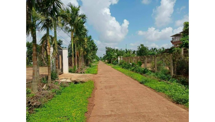 Cần Bán Nhanh Lô Đất Đẹp đường QH 20m tại Xã Hoà Thuận , Tp BMT