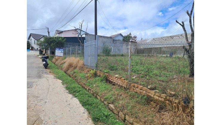 BÁN ĐẤT MĂNG LIN PHƯỜNG 7 ĐÀ LẠT. ĐẤT THẾ DƯƠNG VỊ TRÍ ĐẸP VIEW THÔNG