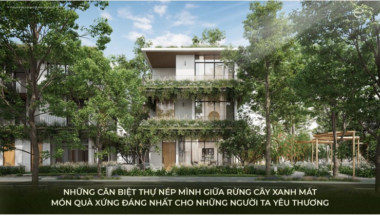 Eco Central Park Vinh, Nghệ An mở bán chính thức từ tập đoàn Ecopark