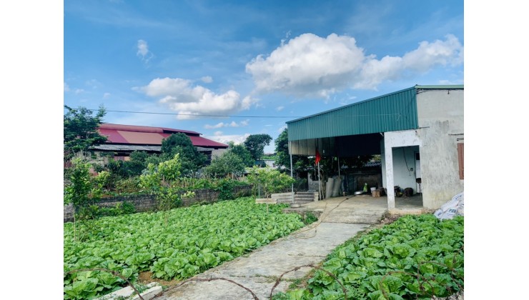 Cao nguyên Mộc Châu ,đất nền trong dân ,giá chỉ từ 1xx một mét