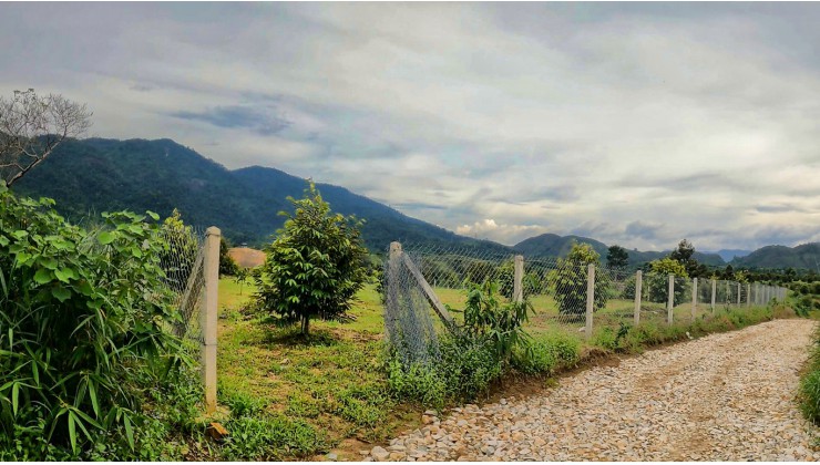 Chính chủ kẹt tiền bán 6586m2 đất view núi tại Lâm Đồng, chỉ 3.55 tỷ. LH:0839034034