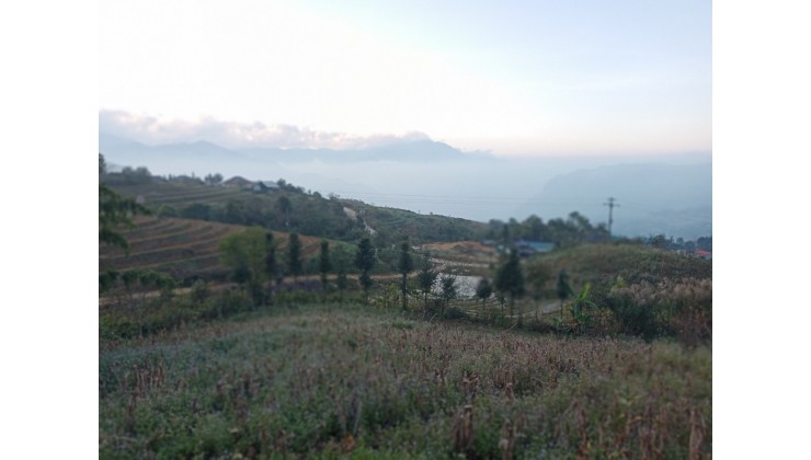 Đất nền Y Tý ( Sa pa 2) view  thung lũng , ruộng bậc thang, săn mây