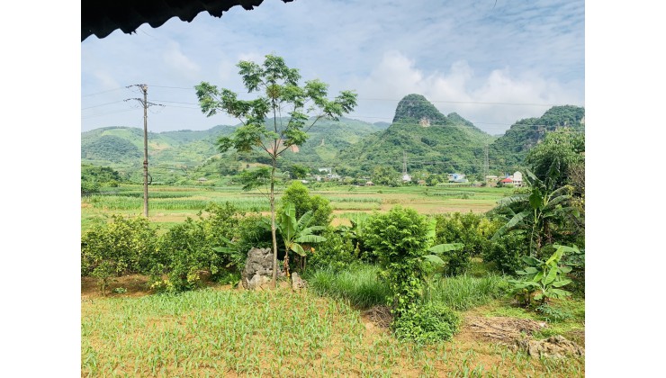 Cho ra mắt lô đất 1883m2 có hẳn 800m thổ cư tại Cao Phong