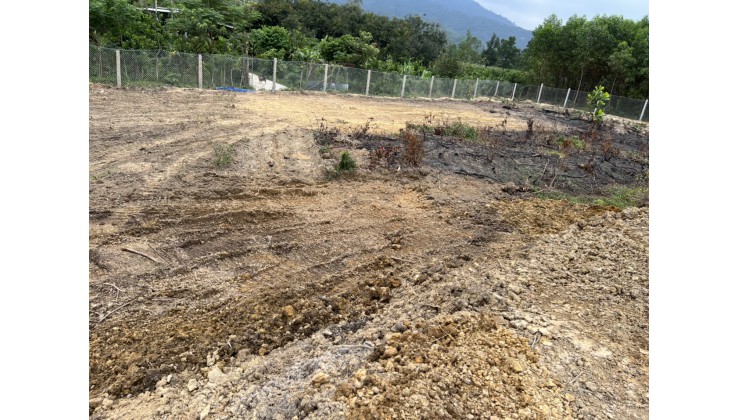 Cần vốn nên chính chủ cần bán khu đất rộng 20.000 m2 đất trồng cây  mặt tiền vị trí đẹp đắc địa xã Hòa phú huyện Hòa Vang Đà Nẵng