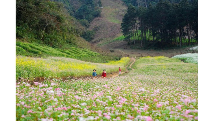 BÁN ĐẤT NỀN MỘC CHÂU-VỊ TRÍ ĐẮC ĐỊA,ĐÓN SÓNG CAO TỐC