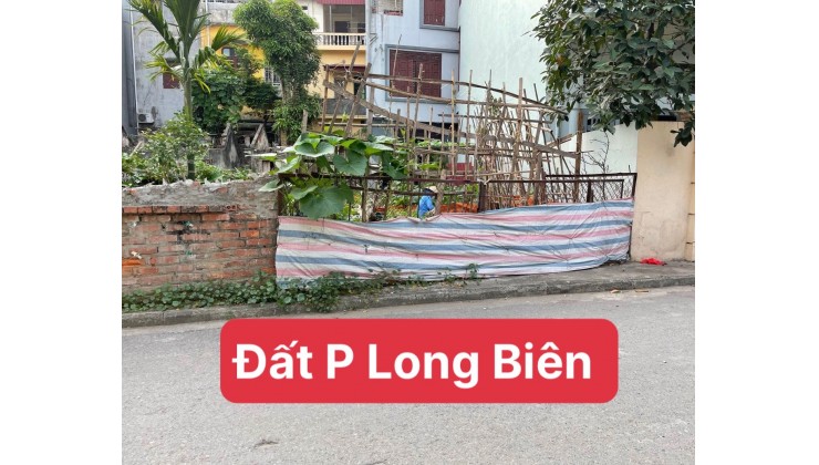 Đất Phường Long Biên, Tư Đình, phân lô CB, ô tô tránh, thông tứ phía, 107m, 84tr