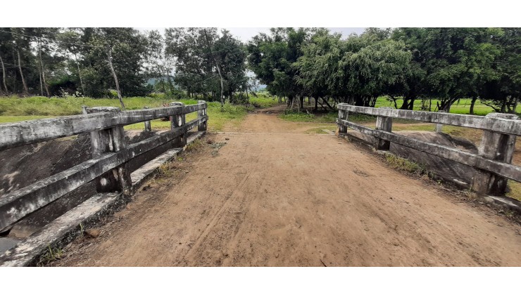 Vườn bưởi và Dừa Xiêm ở Ninh Sơn, Tx. Ninh Hoà 8,6 hecta giá chỉ 8,6 tỷ