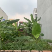 Siêu rẻ đất Việt Hưng Long Biên 56M ngõ thông ô tô vào đất đầu tư giữ tiền giá 4 tỷ.