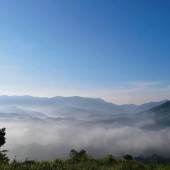 Đất vườn Bảo Lộc, vị trí săn mây trịu Viu