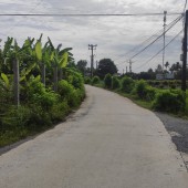 Bán đất Lúa Lợi Bình Nhơn, Tp.Tân An, Long An đường Nguyễn Đại Thời
