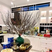 PHÂN LÔ - ÔTÔ - VỈA HÈ RỘNG - Ở HOẶC KINH DOANH, Khu dịch vụ Dương Nội, Hà Đông 50m2 x 5 tầng x MT5m x 8.xx tỷ