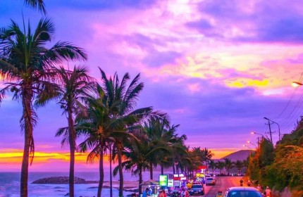 Bán Nhà Khu Du Lịch Mũi Né, Cách Biển 50m, Diện tích 113,4m2 Mặt Tiền 8m