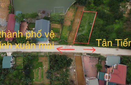 TRỤC CHÍNH - BÁM HỒ - VUÔNG VẮN - Ô TÔ NÉ NHAU