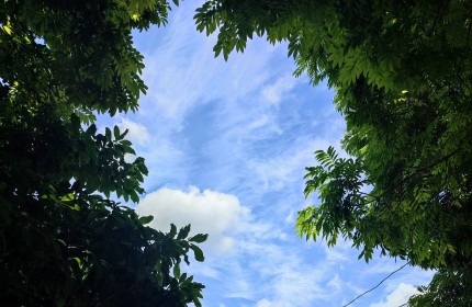 CHỦ cần bán nhà Ngô Thì Sỹ HÀ ĐÔNG_OTO đỗ cửa_4 ngủ thừa công năng_AN SINH CỰC ĐỈNH 4,5 tỷ