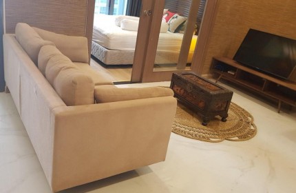 Cần bán căn hộ cao cấp nhà đẹp dự án Saigon pearl giá tốt