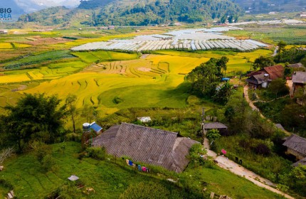 Bán Nhanh Mảnh Đất phù hợp làm homestay tại Tả Phìn, Sapa