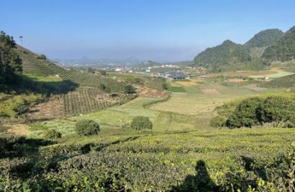 Chính chủ cần bán 3,400m tại Chiềng Đi, TTNT Mộc Châu. View đồi chè