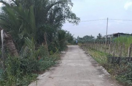 bán đất làm nhà vưởn xã phước tân hưng châu thành long an giá 460tr