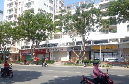 Bán căn hộ Park View block B Phú Mỹ Hưng quận 7 giá 3.2 tỷ