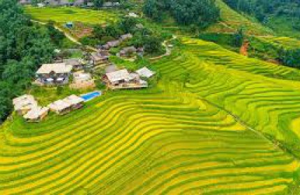 ĐẤT NỀN SAPA- VIEW RUỘNG BẬC THANG SIÊU ĐẸP, DIỆN TÍCH RỘNG, 2 MT, GIÁ SIÊU TIỀM NĂNG