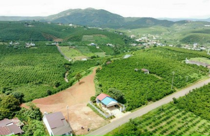 bán đất chính chủ_mt đường liên xã tại trtung tâm lộc ngãi_ bảo lâm_ lâm đông