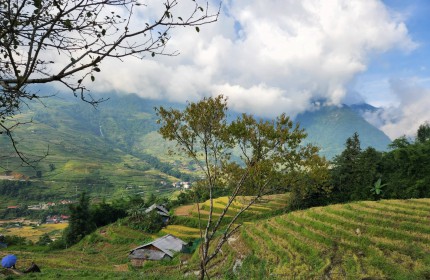 CẦN BÁN ĐẤT NỀN  VỊ TRÍ ĐẮC ĐỊA  TẠI TRUNG TÂM MỘC CHÂU