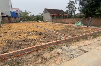 Bán gấp lô đất 220m2 tại xóm Xuân Nội, xã Hồng Kỳ, huyện Sóc Sơn, Hà Nội. đường 5m