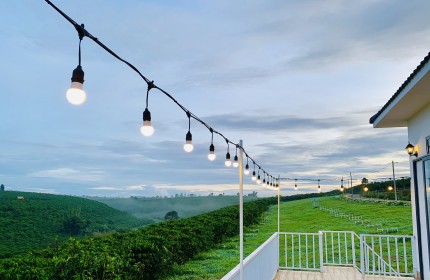 Đất nền Bảo Lộc Garden Hill - Chỉ 550 triệu/nền - 5 phút qua hồ DakLong Thượng - Sổ hồng trao ngay