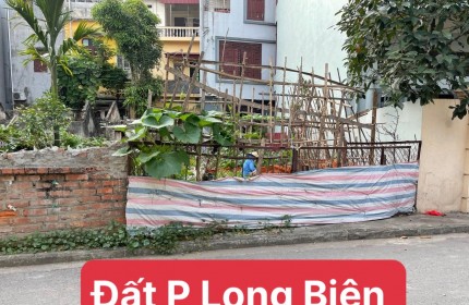 Đất Phường Long Biên, Tư Đình, phân lô CB, ô tô tránh, thông tứ phía, 107m, 84tr