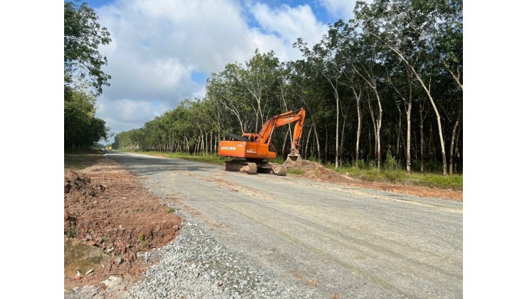 Chủ Ngộp NH bán gấp lô đất trong KDC Minh Long