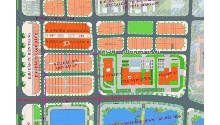 Chính chủ bán đất đấu giá vườn Đào Đông Anh