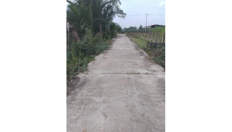 bán đất vườn châu thành long an đang trồng dừa view kênh mát mẻ đường oto giá 750tr