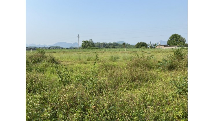 Chính chủ gửi bán lô đất 3000m2  có 544,4m2 đất thổ cư vài bước chân ra sông Bôi tại Kim Bôi - Hòa Bình