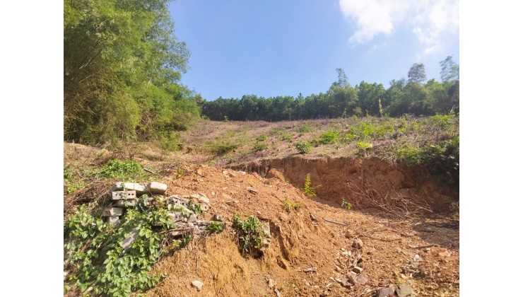 Cần bán nhanh mảnh đất 1.25ha có 400m thổ cư tại Lương Sơn - Hòa Bình đất thoai thoải giá bán 1.2x tỷ