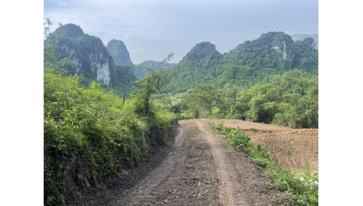 Bán gấp 2.6ha RSX (thực tế hơn 3ha) view đồi núi, bám suối giá chỉ 1.x chỉ tại Lương Sơn - Hòa Bình