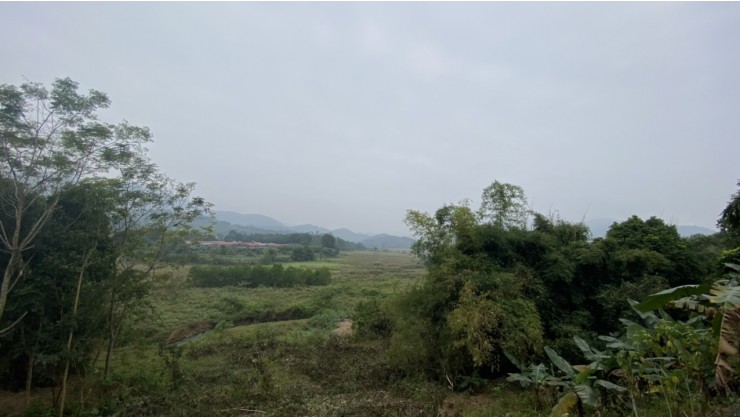 Tôi cần bán đất tại thị trấn Lương Sơn Hòa Bình diện tích 1037m2 có 250m2 đất thổ cư