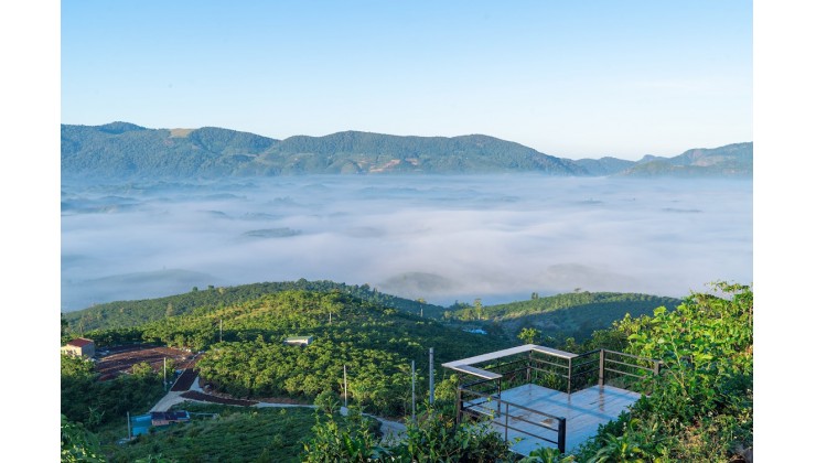 Bán đất view đồi Bát Úp săn mây đường Blao Sire - Đại Lào - TP. Bảo Lộc - Lâm Đồng