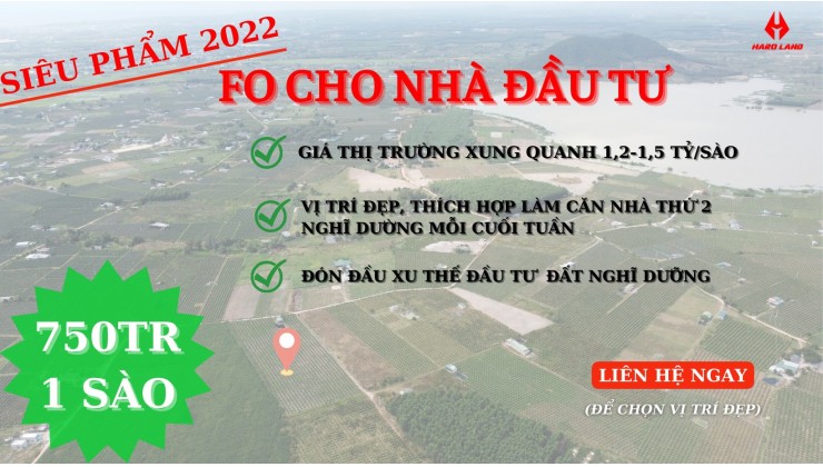 1000m đường Bê tông Gần biển xã Tân Tiến, Thị xã Lagi Bình Thuận dân cư đông 750 triệu