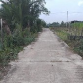 bán đất vườn châu thành long an đang trồng dừa view kênh mát mẻ đường oto giá 750tr