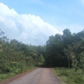 Bán đất ngay Trung Tâm Hành Chính huyện đồng phú Bình Phước