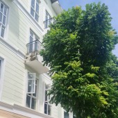 CHÍNH CHỦ CẦN BÁN LK KHU ĐTM ĐÔ NGHĨA
