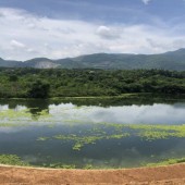 Bán lô đất tại Lương Sơn đẹp như tranh vẽ bám hồ Đập Đom cạnh khu nghỉ dưỡng cao cấp Legacy Hill, Vịt Cỏ Xanh